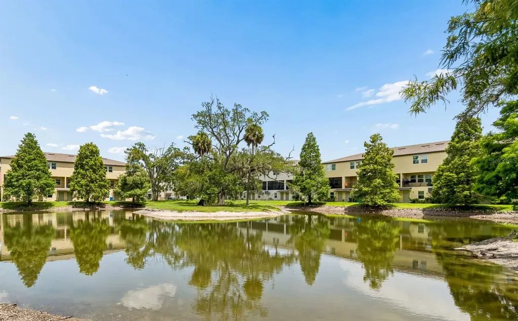 4755 Tuscan Loon Drive Tampa FL 33619