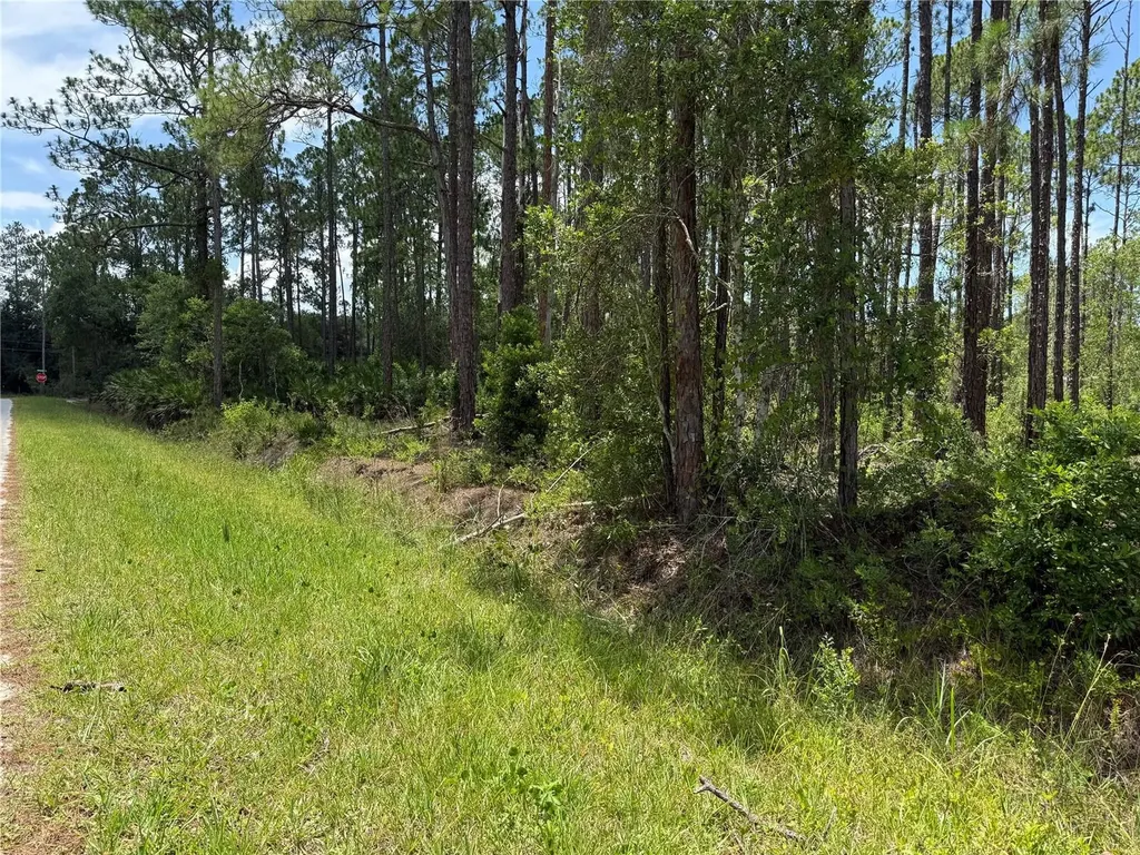 2914 Avocado Boulevard Bunnell FL 32110