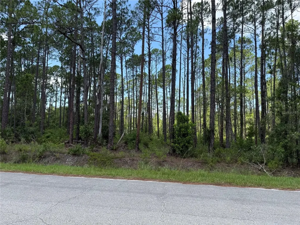 2914 Avocado Boulevard Bunnell FL 32110