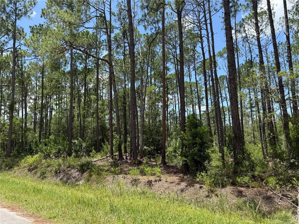 2914 Avocado Boulevard Bunnell FL 32110