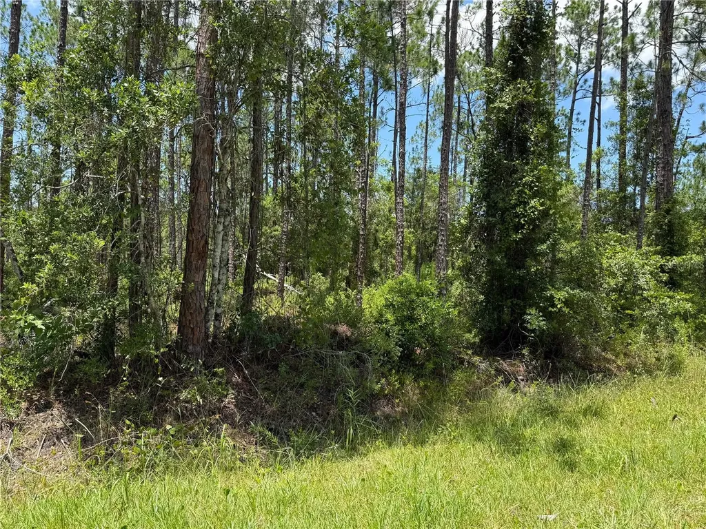 2914 Avocado Boulevard Bunnell FL 32110