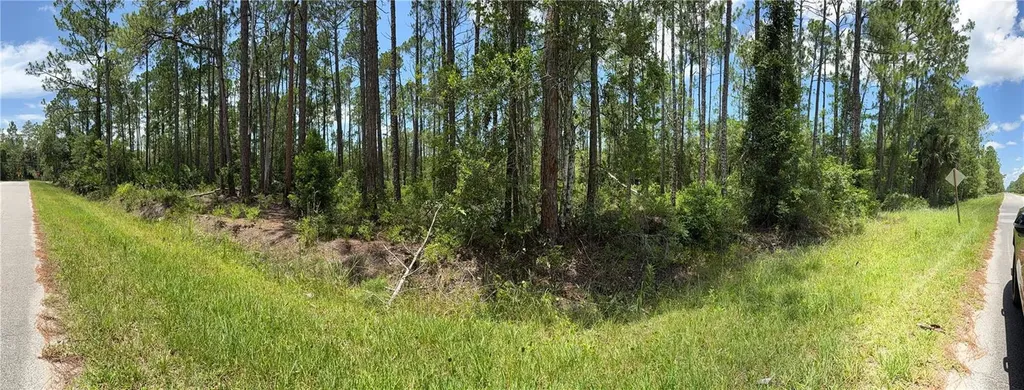 2914 Avocado Boulevard Bunnell FL 32110
