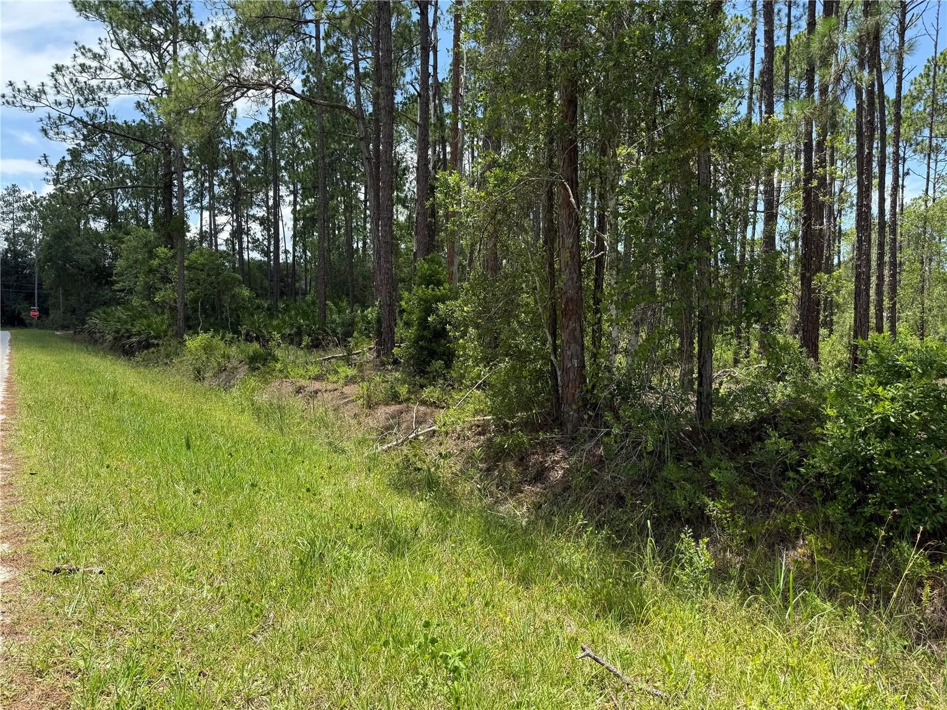 2914 Avocado Boulevard Bunnell FL 32110