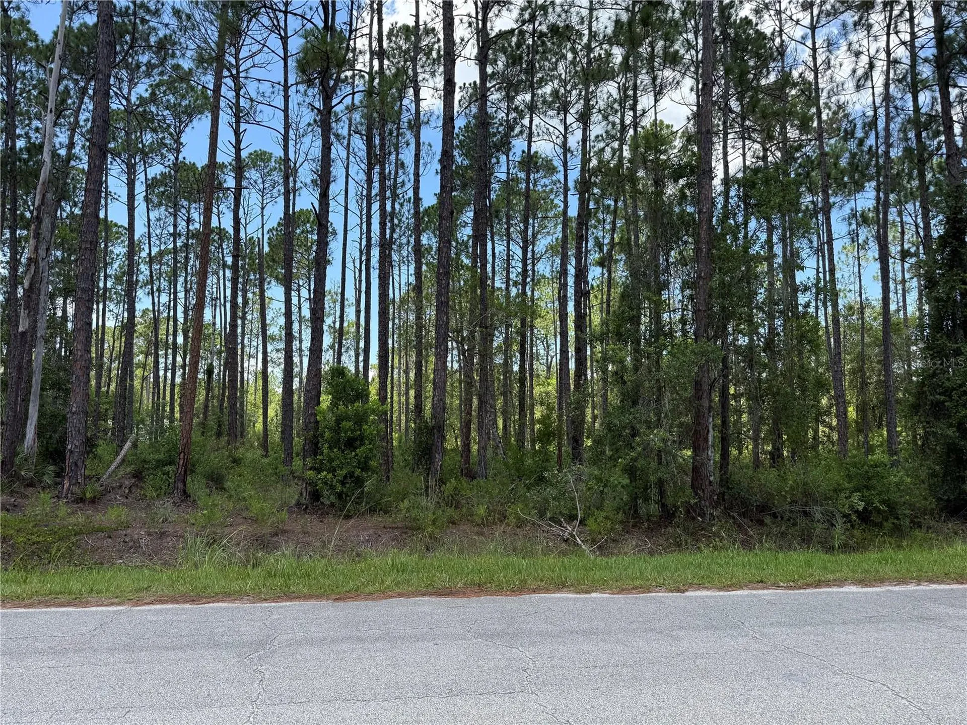 2914 Avocado Boulevard Bunnell FL 32110