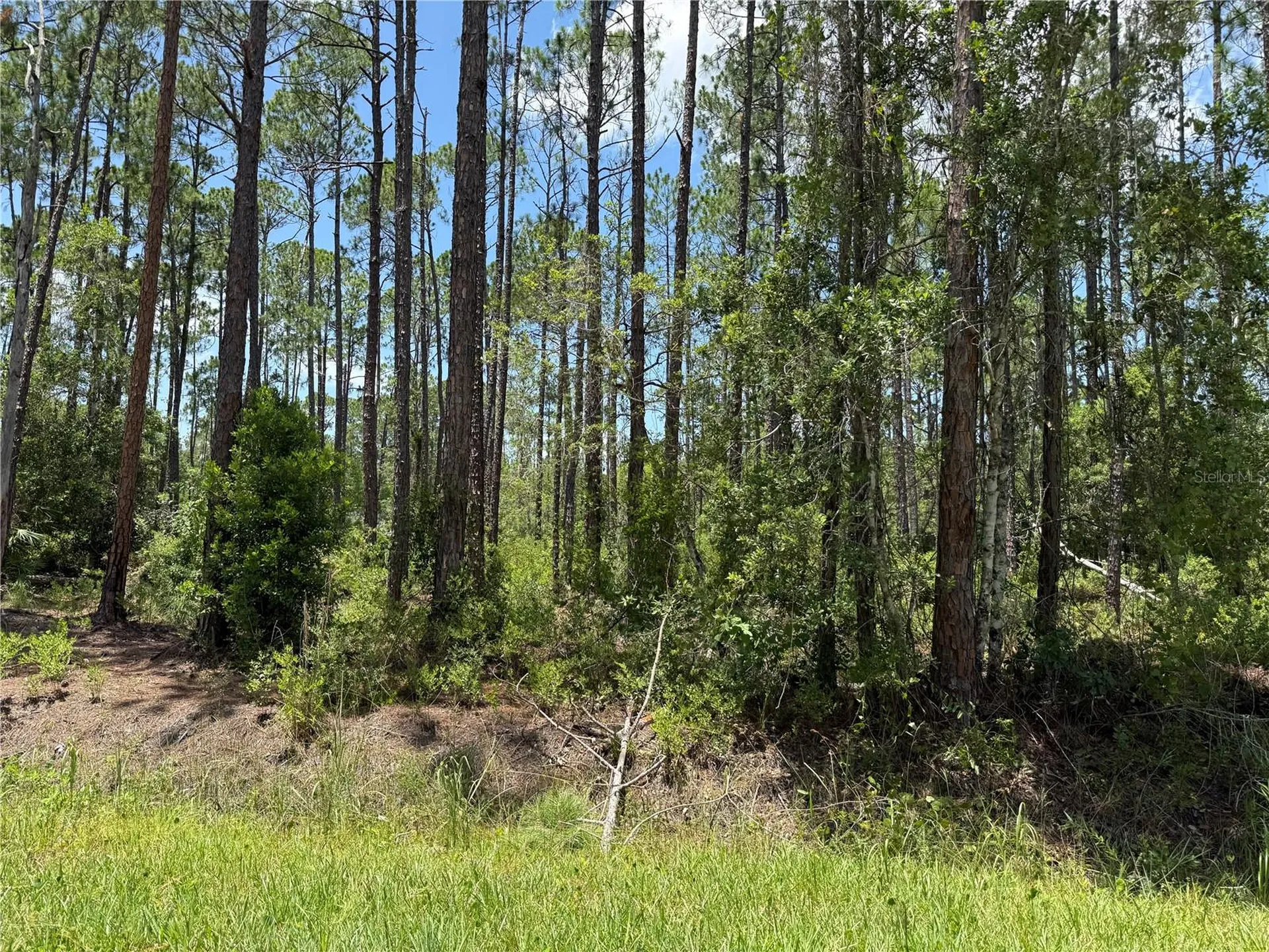 2914 Avocado Boulevard Bunnell FL 32110
