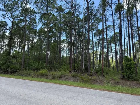 2914 Avocado Boulevard Bunnell FL 32110