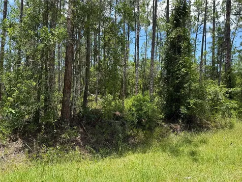 2914 Avocado Boulevard Bunnell FL 32110