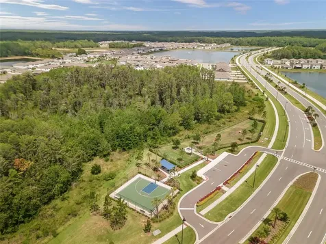 3228 Living Coral Drive Odessa FL 33556