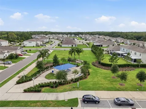 3228 Living Coral Drive Odessa FL 33556