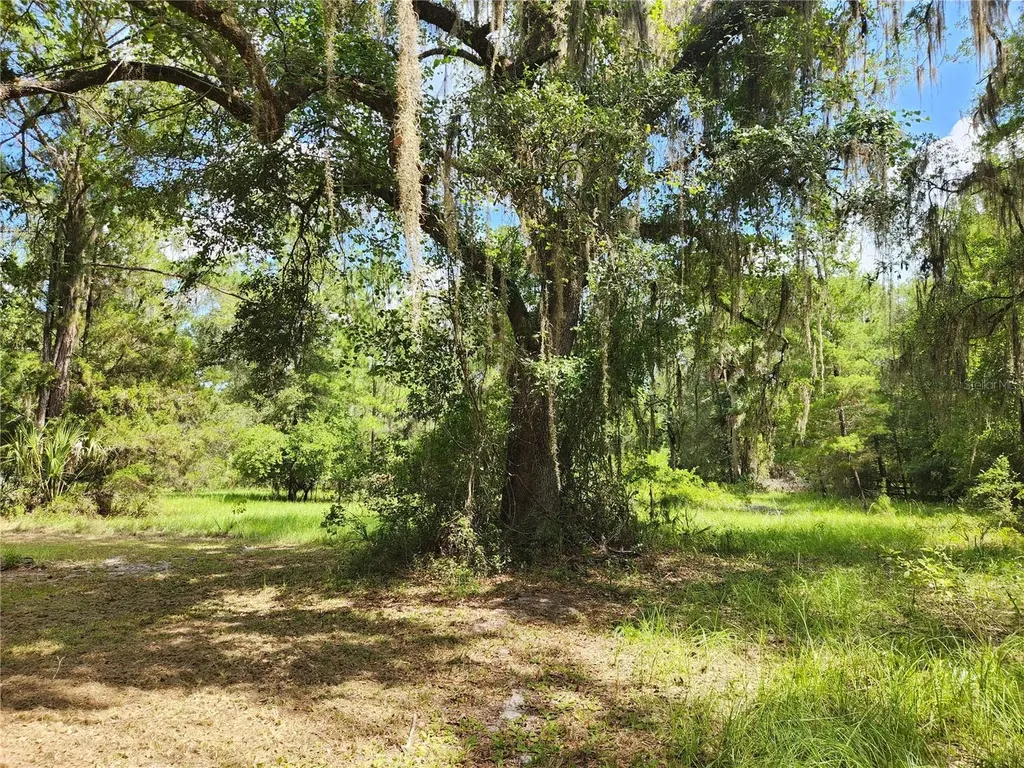 13501 NE 245th Street Road Fort Mc Coy FL 32134