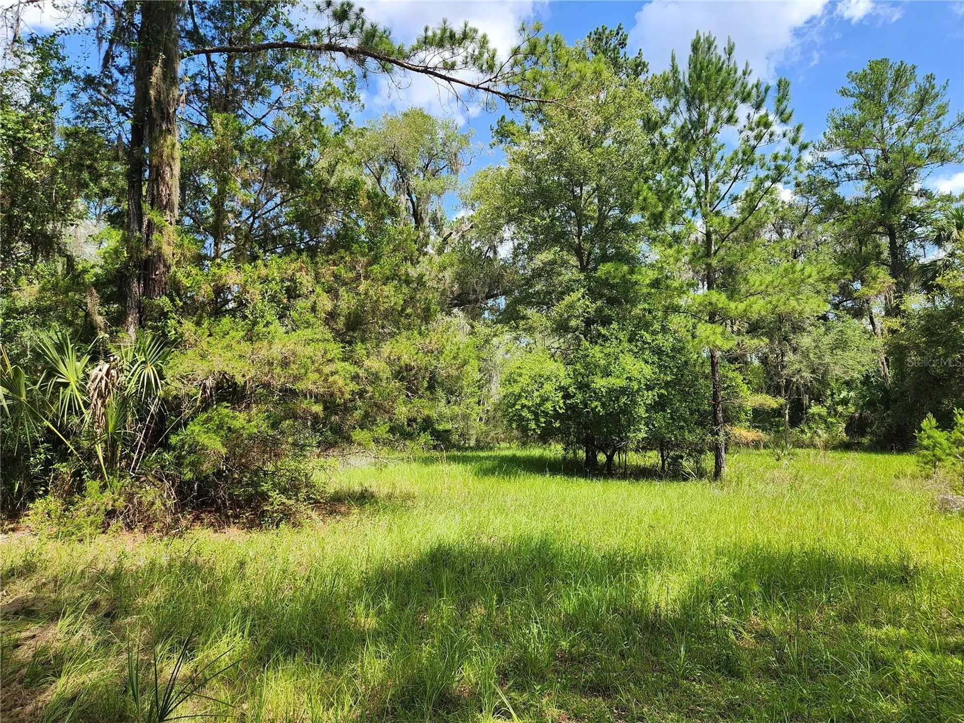 13501 NE 245th Street Road Fort Mc Coy FL 32134