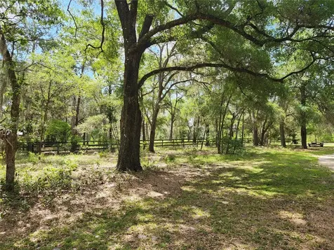 13501 NE 245th Street Road Fort Mc Coy FL 32134