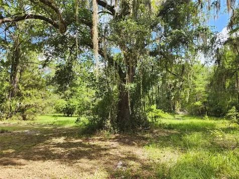 13501 NE 245th Street Road Fort Mc Coy FL 32134