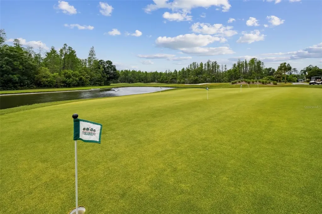 20942 Sunsweet Court Land O Lakes FL 34637