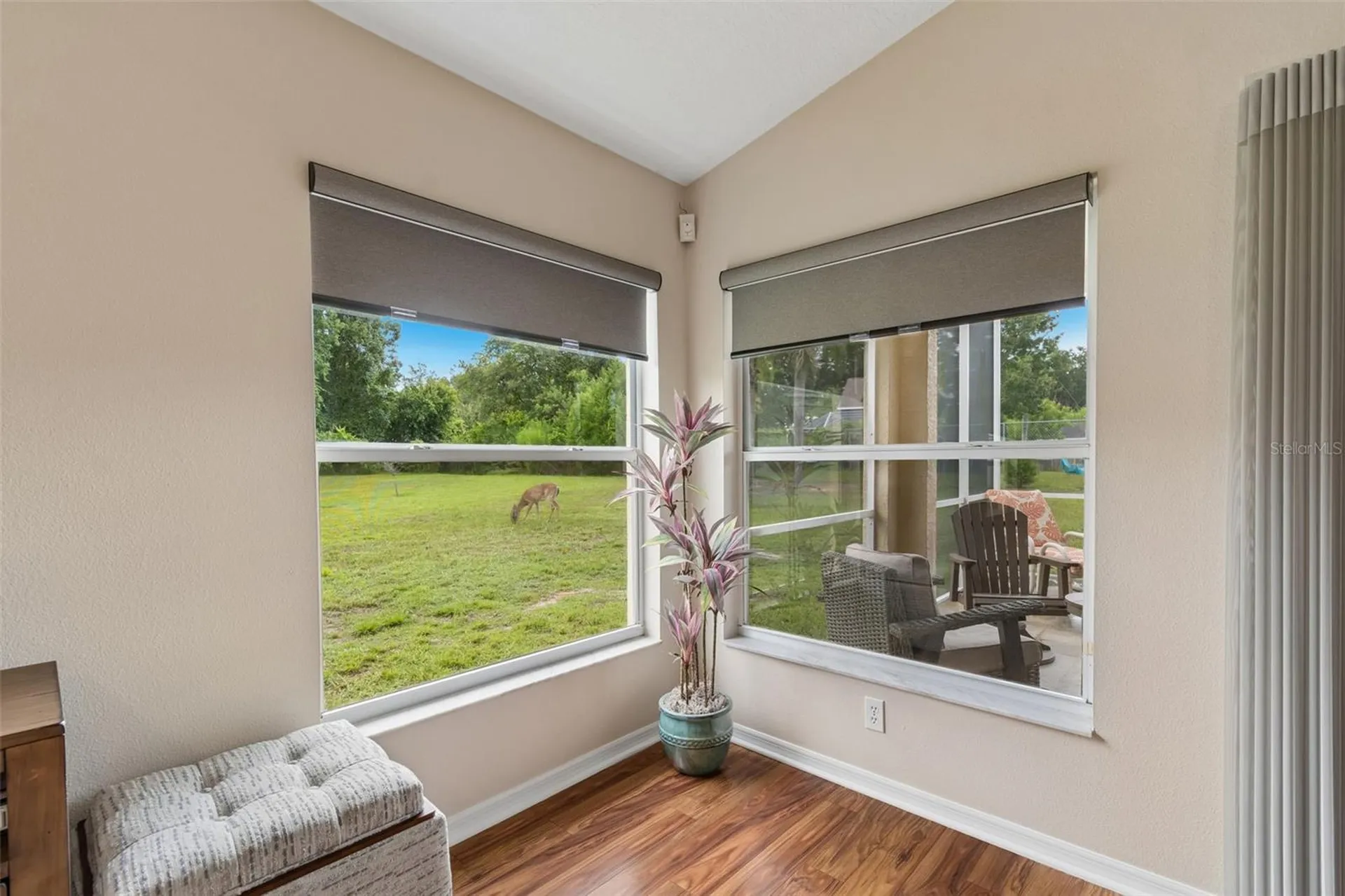 20942 Sunsweet Court Land O Lakes FL 34637