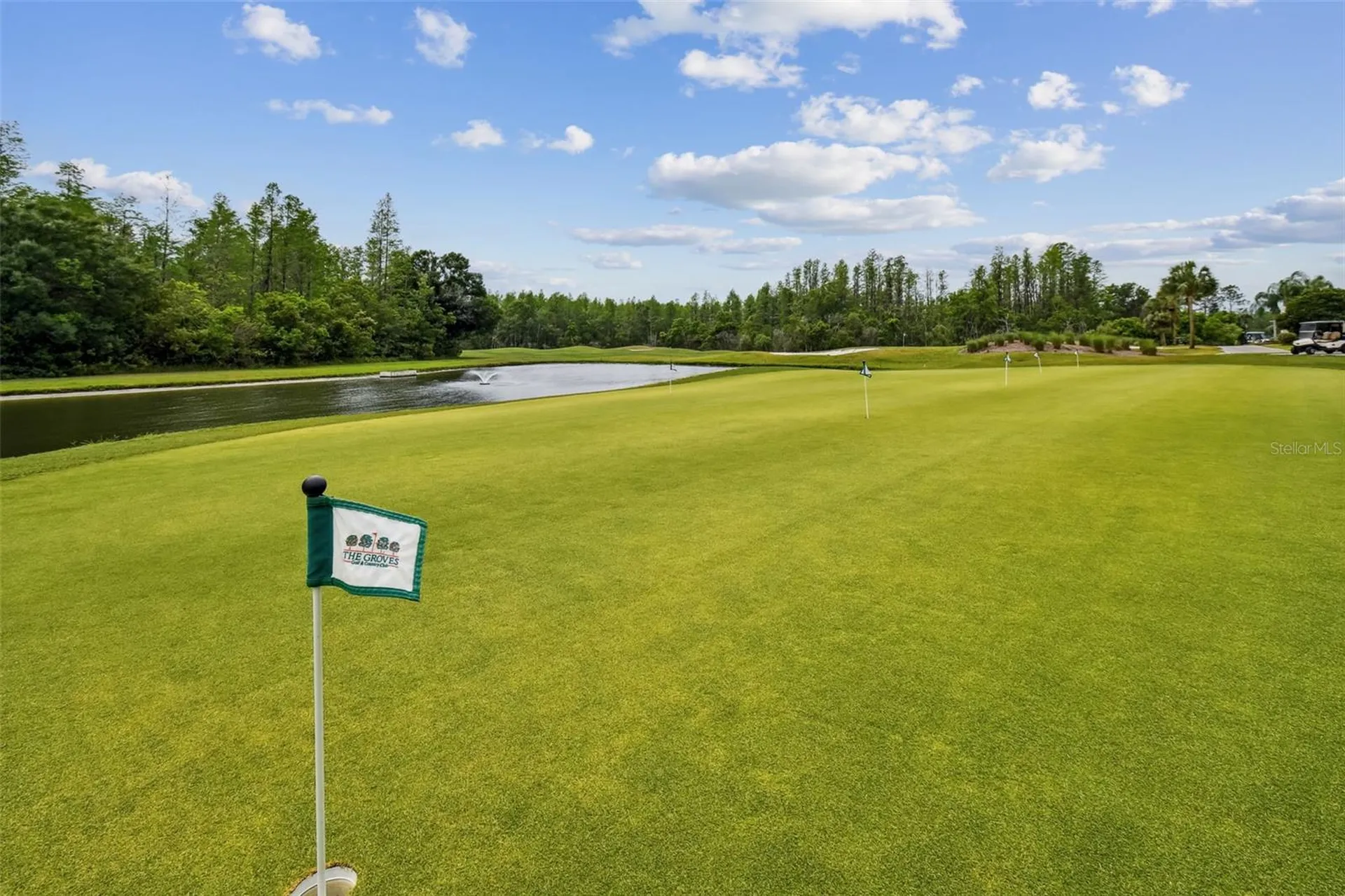 20942 Sunsweet Court Land O Lakes FL 34637