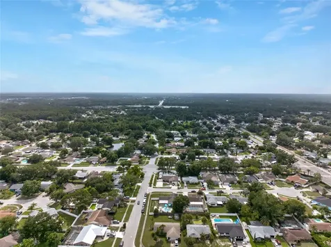14501 Farm Hills Place Tampa FL 33625