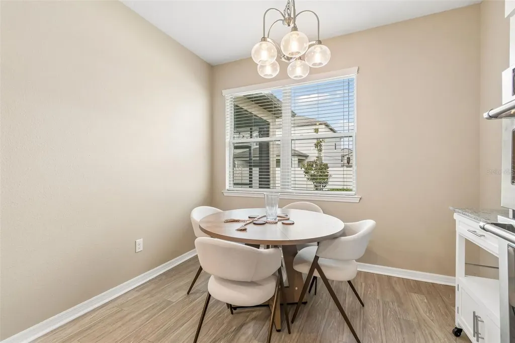 8012 Olive Brook Drive Wesley Chapel FL 33545