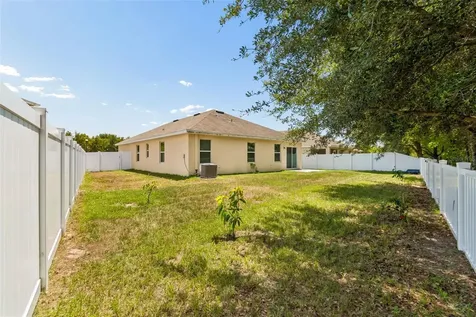 11910 Little Violet Circle Riverview FL 33578