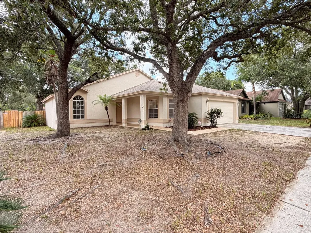1025 Malletwood Drive Brandon FL 33510