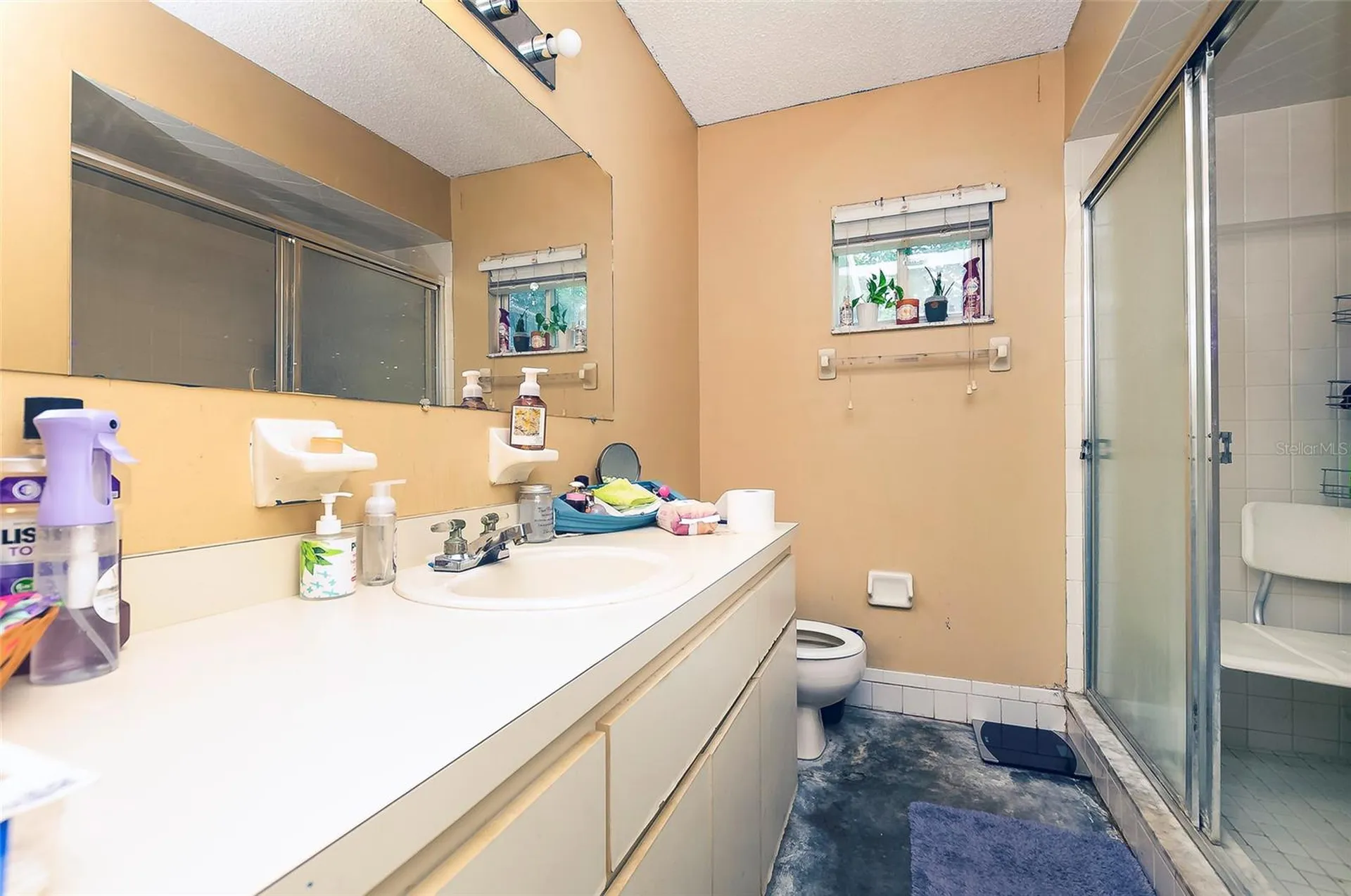 6488 SW 103rd Street Road Ocala FL 34476