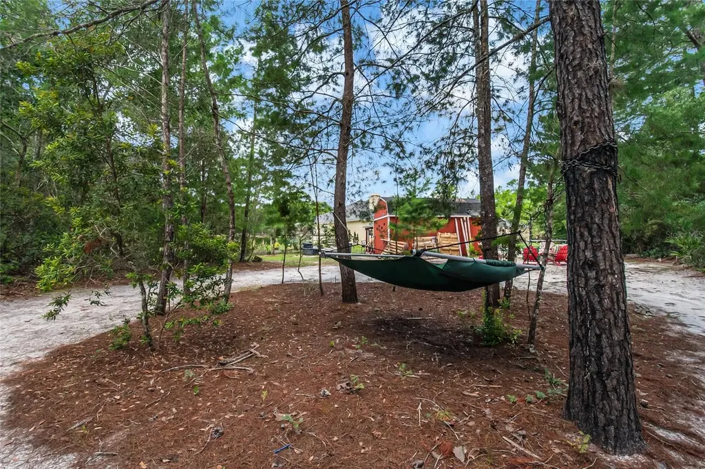 450 Valley Stream Drive Geneva FL 32732