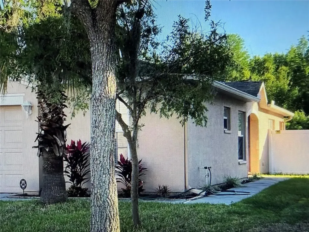 18250 Snowdonia Drive Land O Lakes FL 34638