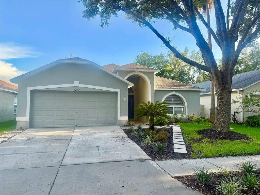10467 Lucaya Drive Tampa FL 33647