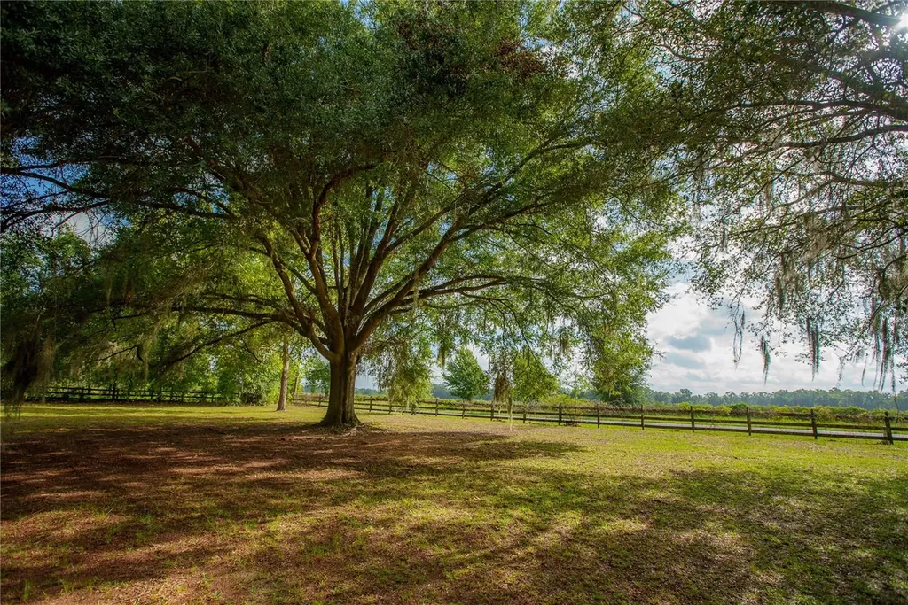 25518 NW County Road 241 Alachua FL 32615