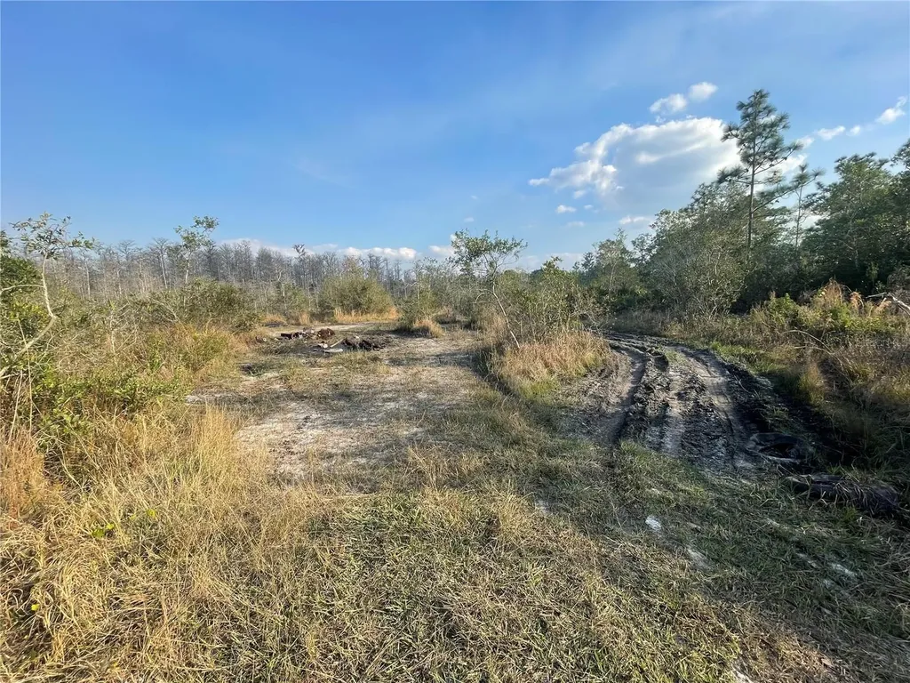 Concord Road St Cloud FL 34773