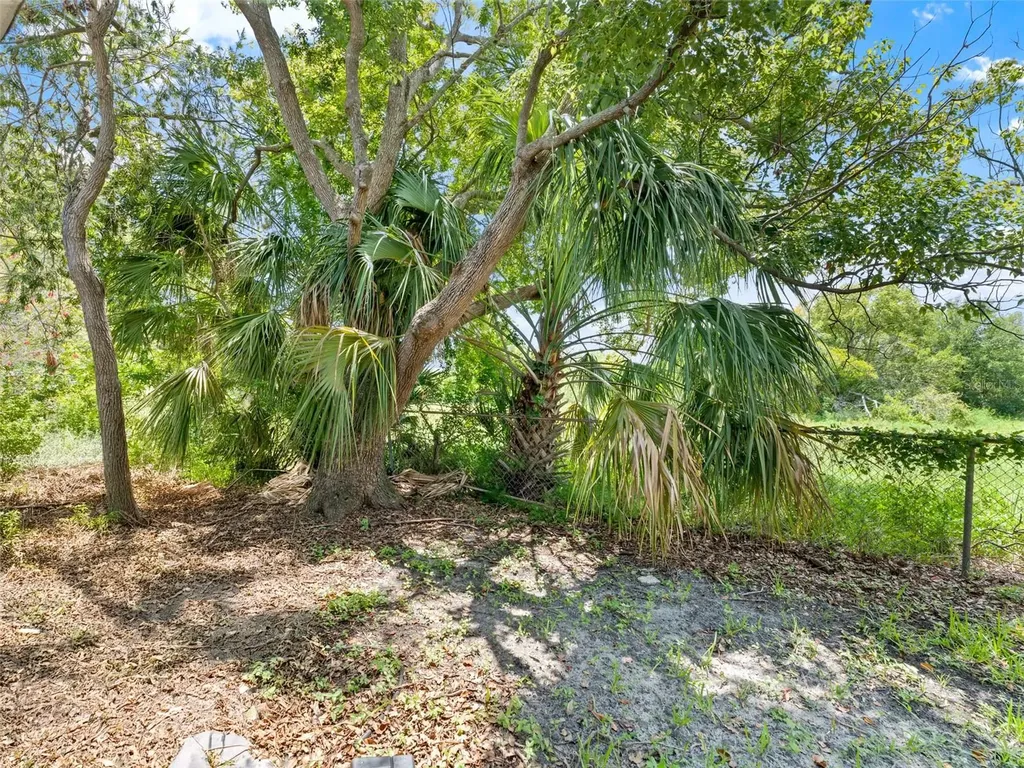 4237 Redcliff Place New Port Richey FL 34652