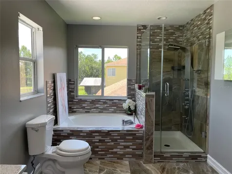5036 Whistling Pines Court Wesley Chapel FL 33545