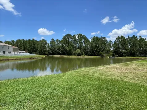 5036 Whistling Pines Court Wesley Chapel FL 33545