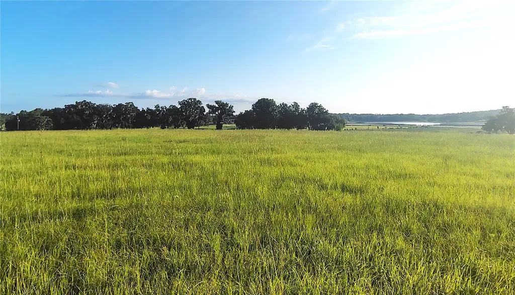 Covington Road Dade City FL 33525