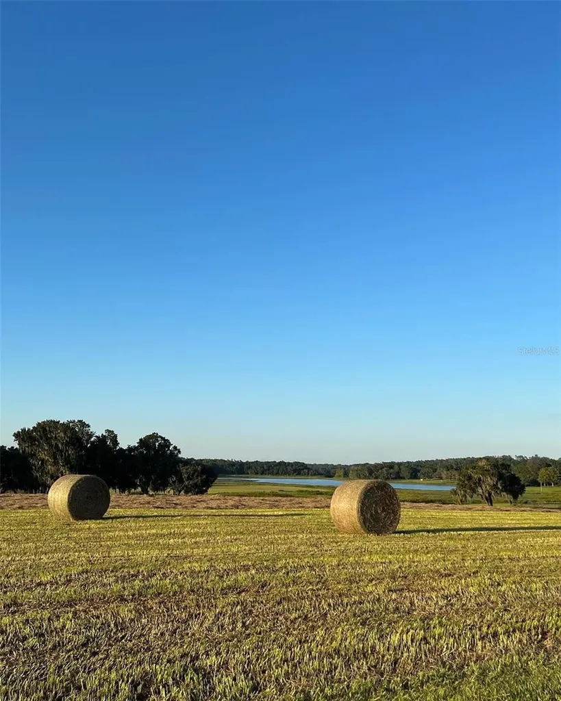Covington Road Dade City FL 33525