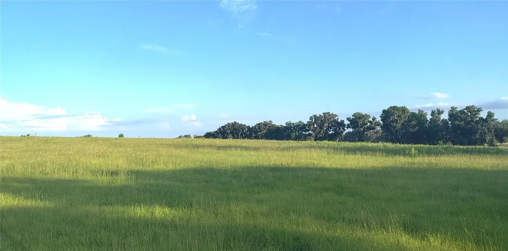 Covington Road Dade City FL 33525