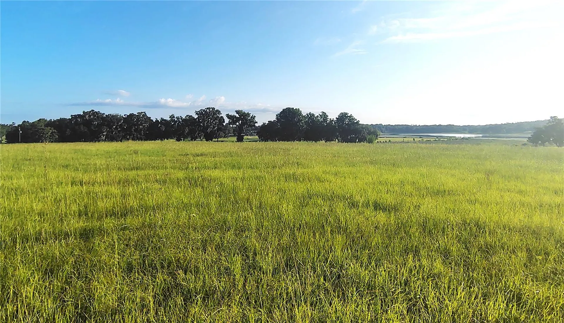 Covington Road Dade City FL 33525