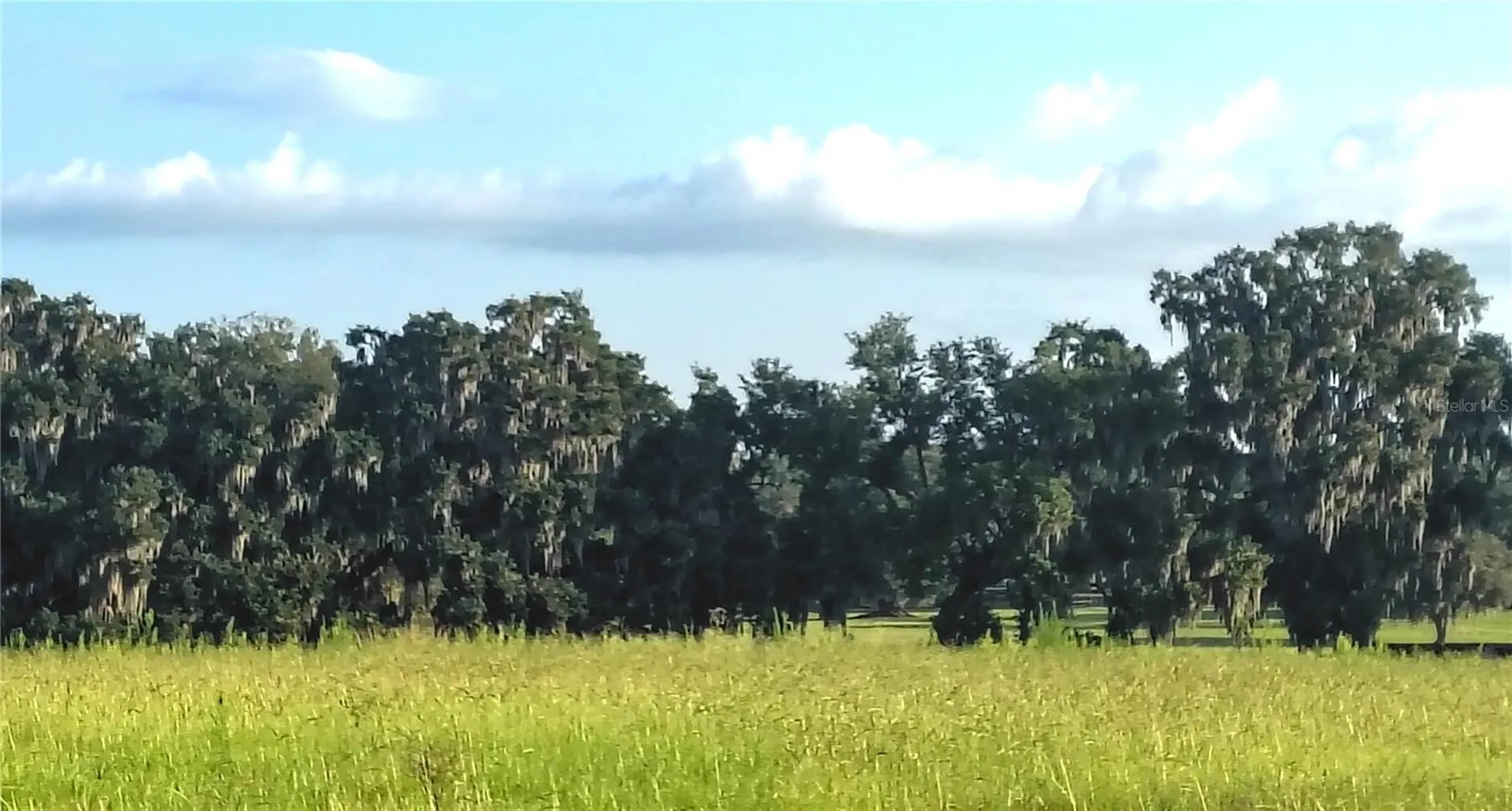 Covington Road Dade City FL 33525