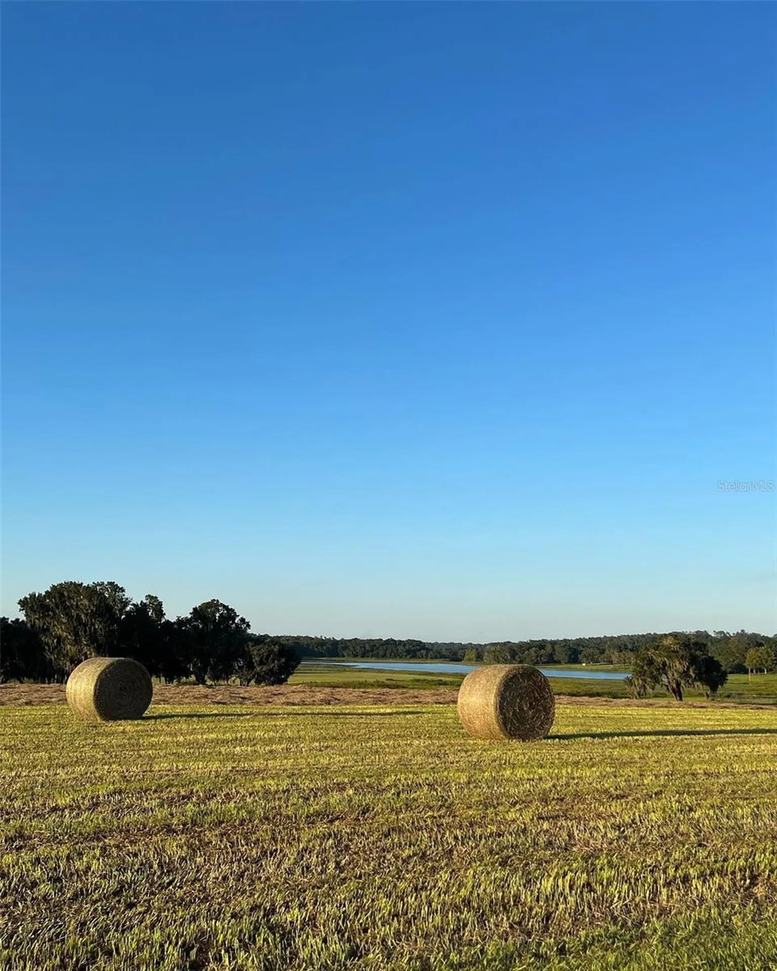 Covington Road Dade City FL 33525
