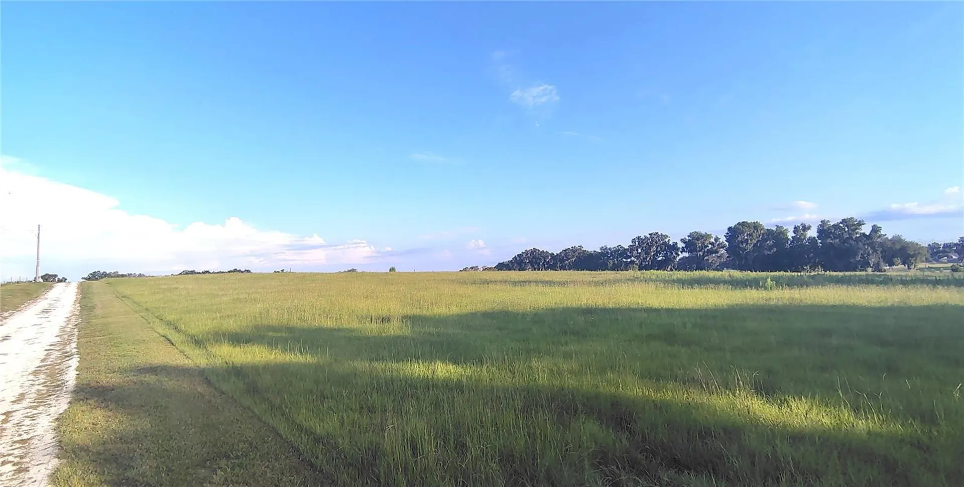 Covington Road Dade City FL 33525