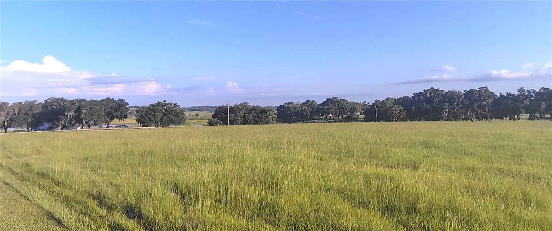Covington Road Dade City FL 33525