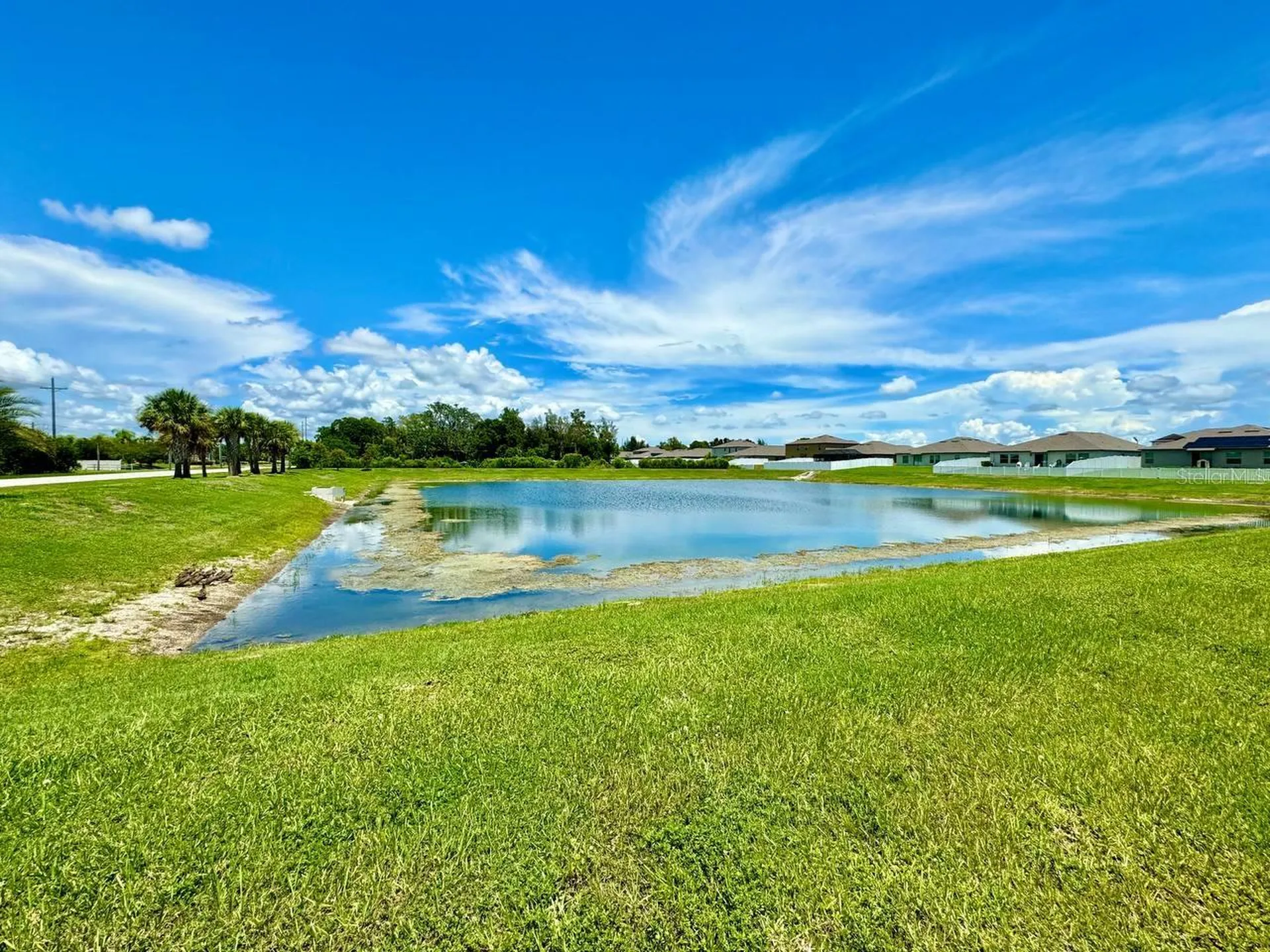 1881 Sand Daisy Place Ruskin FL 33570