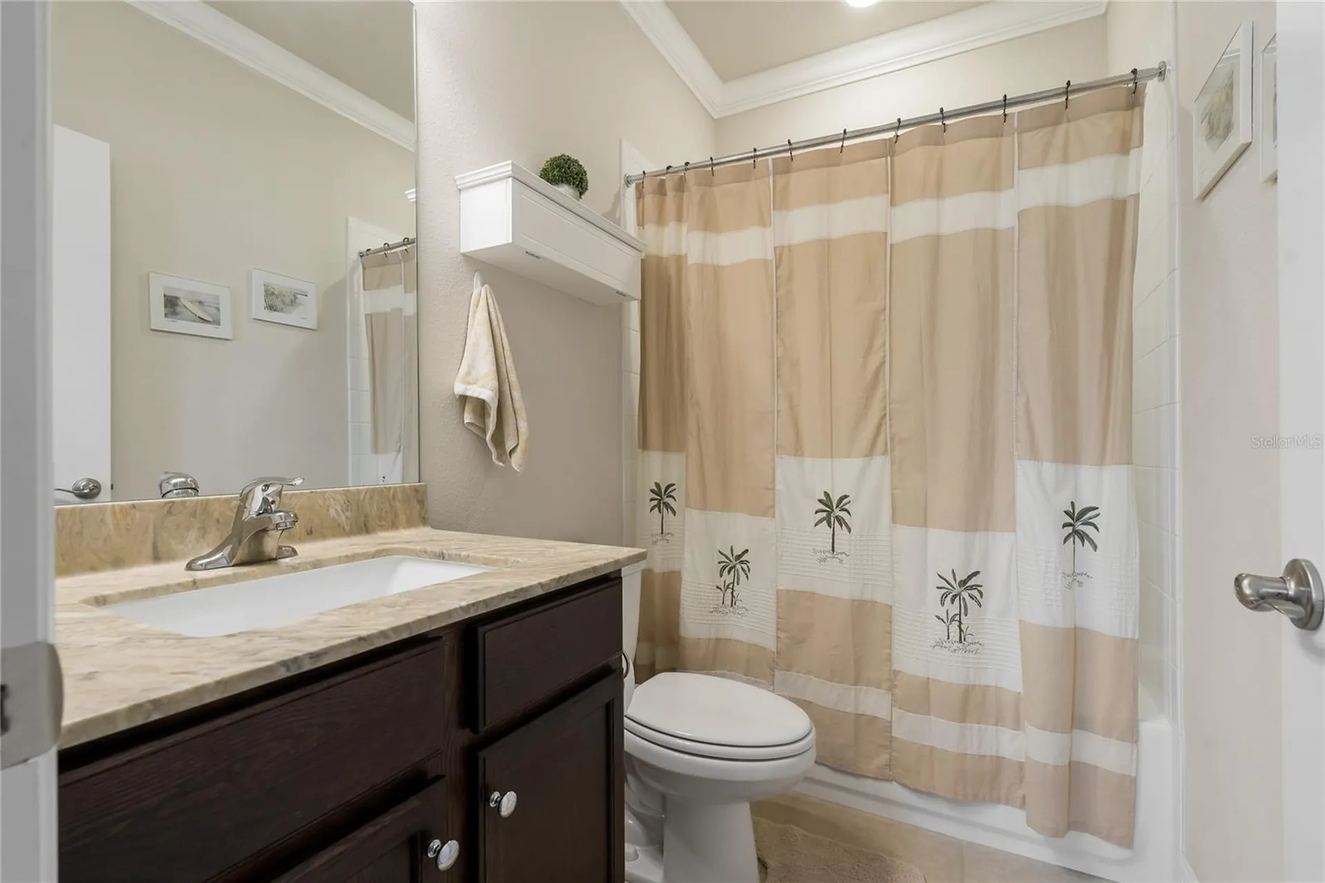 597 Ozona Village Drive Palm Harbor FL 34683