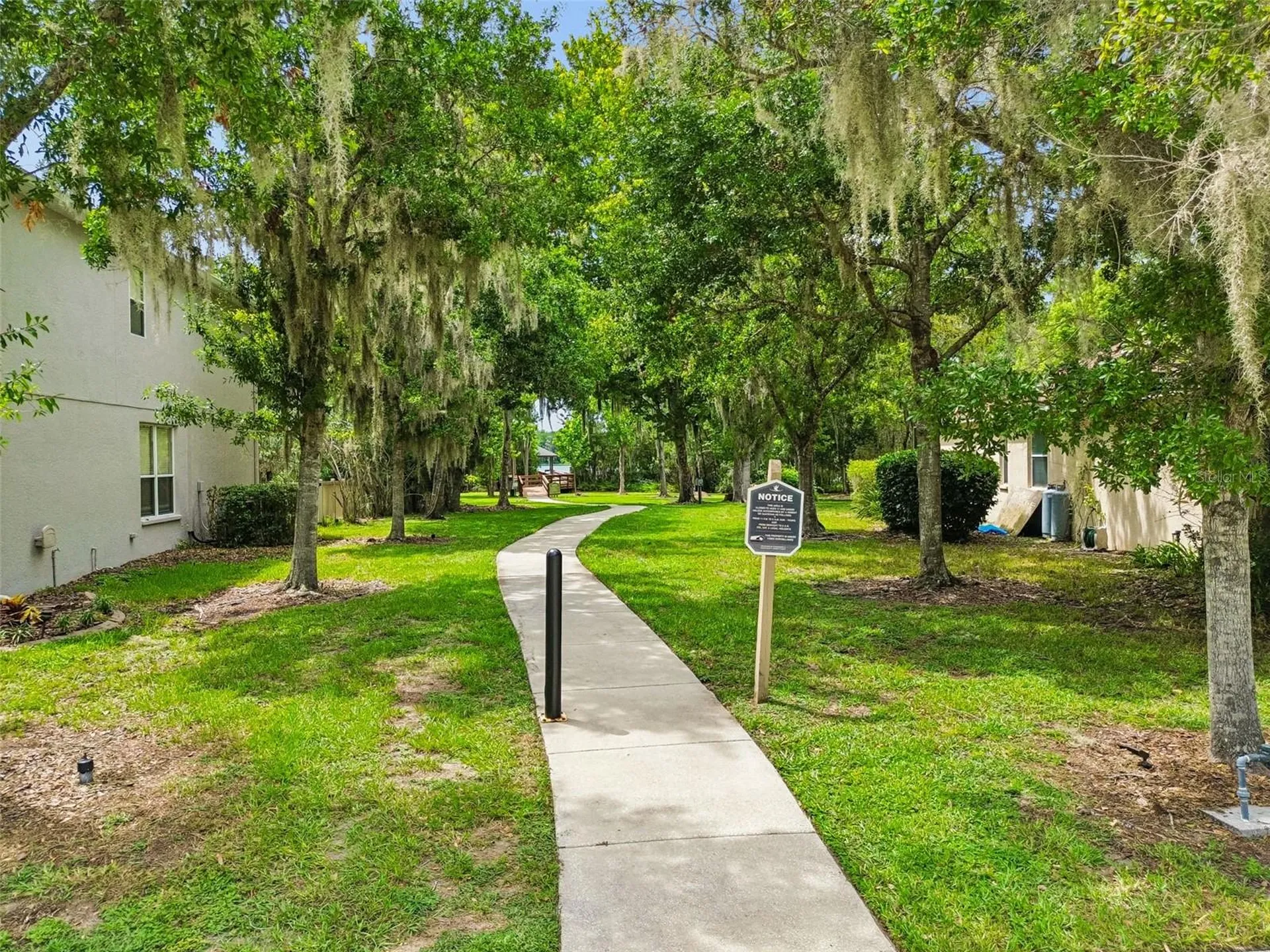 21500 Cormorant Cove Drive Land O Lakes FL 34637