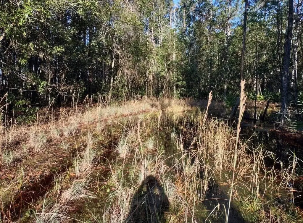 154 James Place Palatka FL 32177