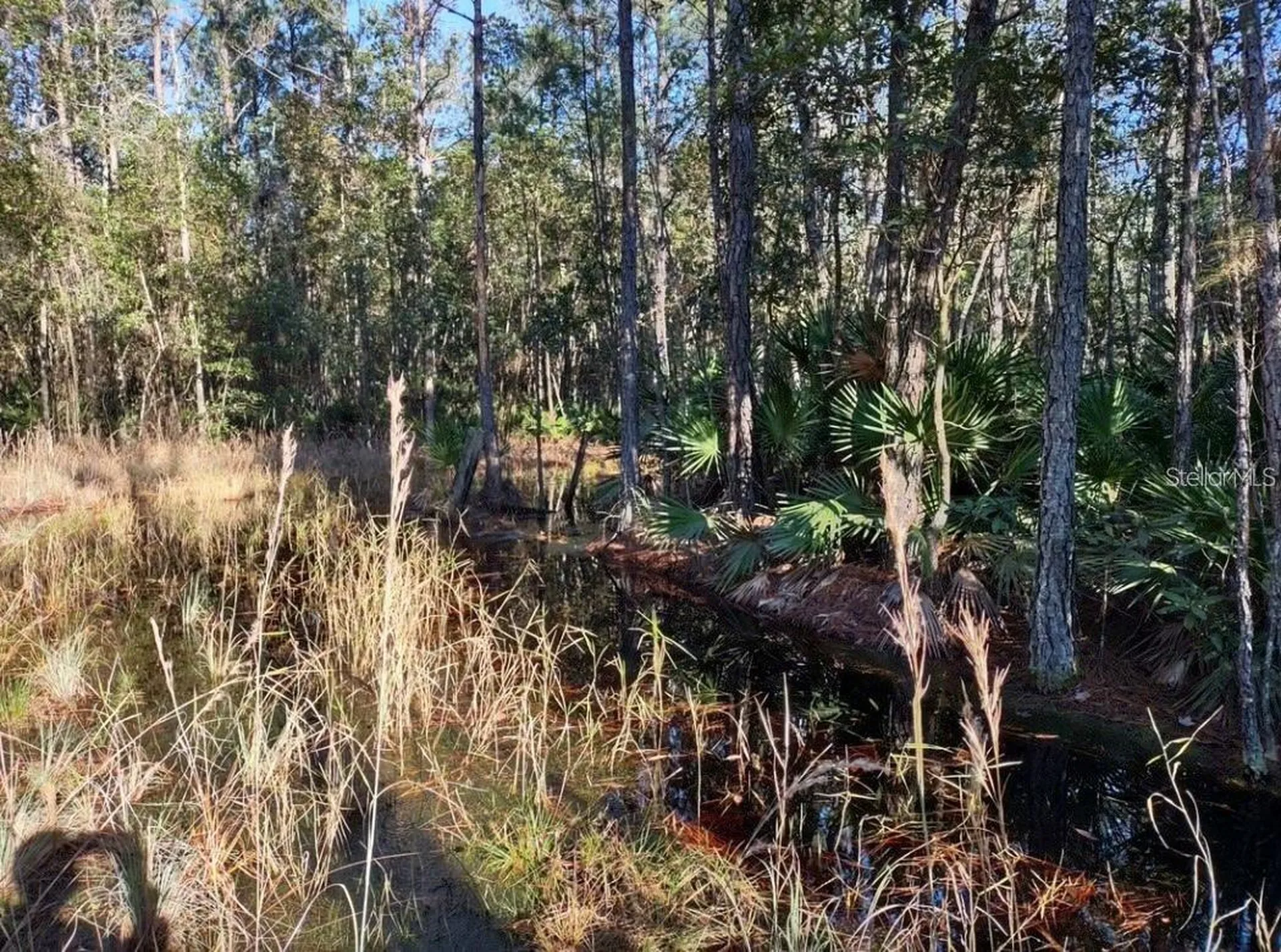 154 James Place Palatka FL 32177