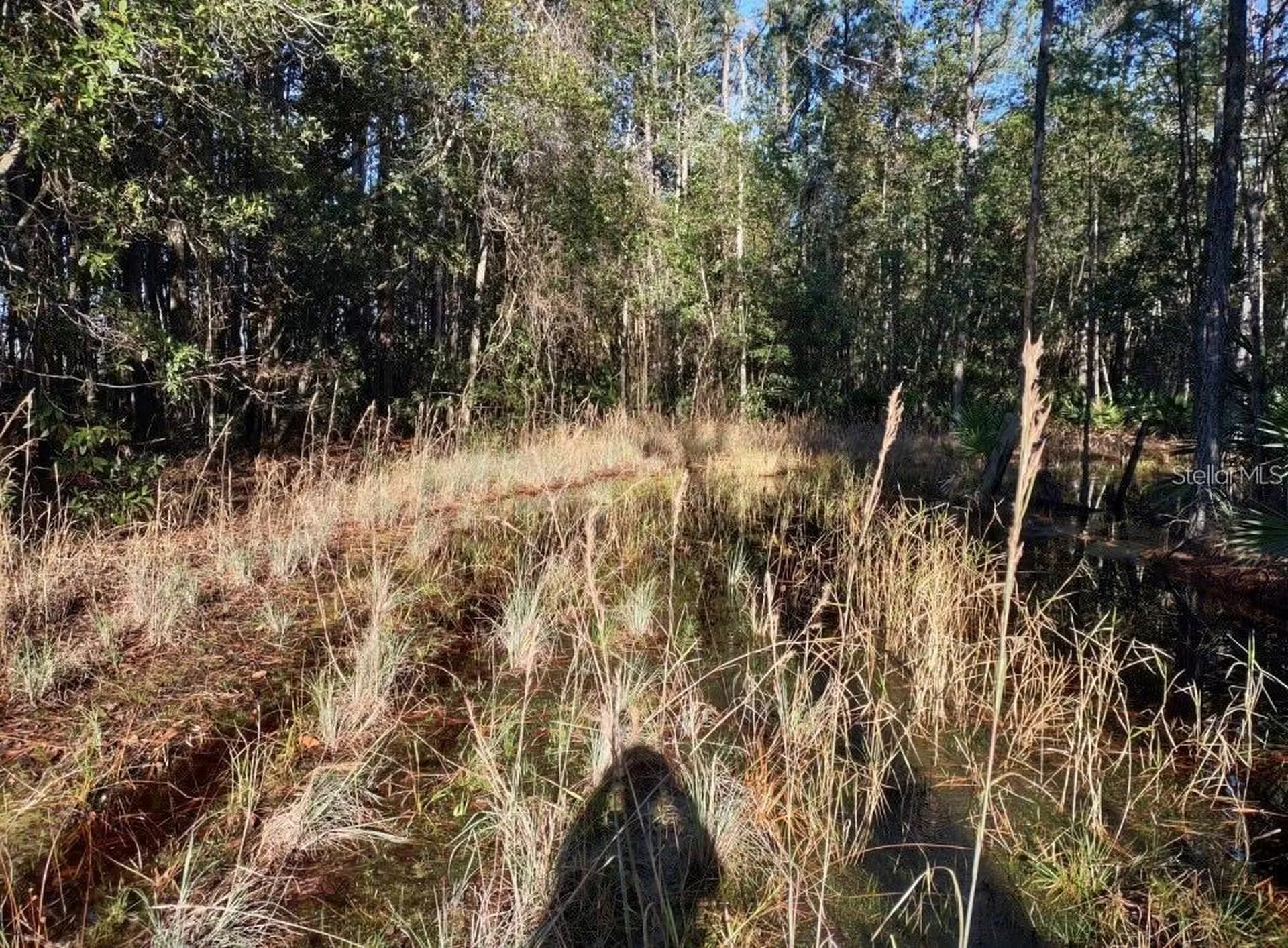 154 James Place Palatka FL 32177