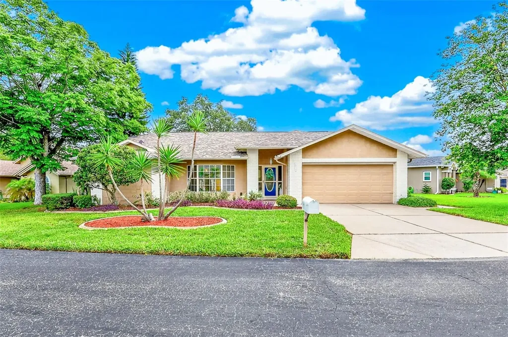 10529 Ayr Court New Port Richey FL 34654