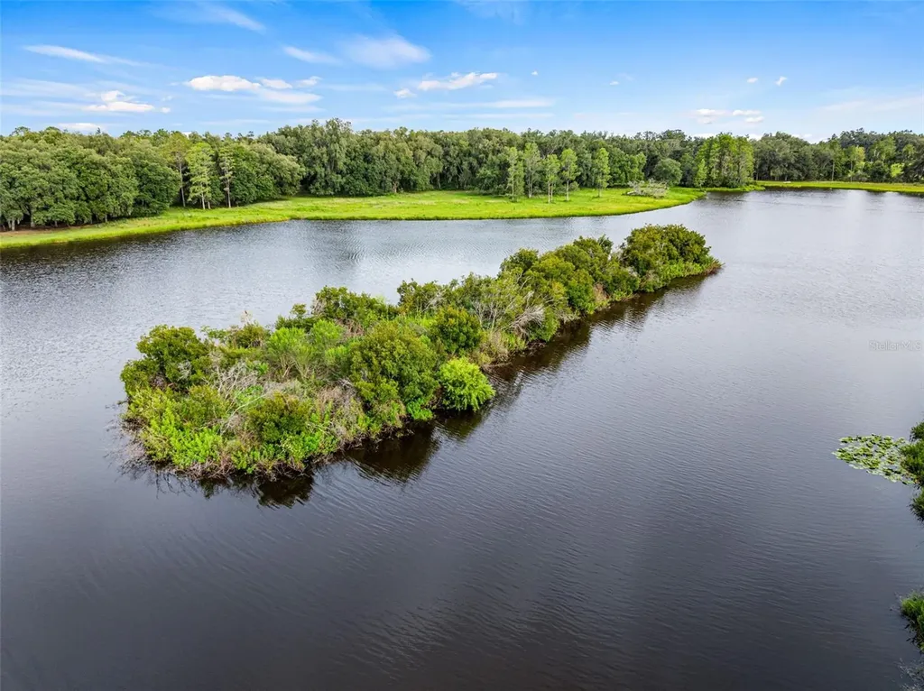 33415 Kiefer Road Wesley Chapel FL 33545