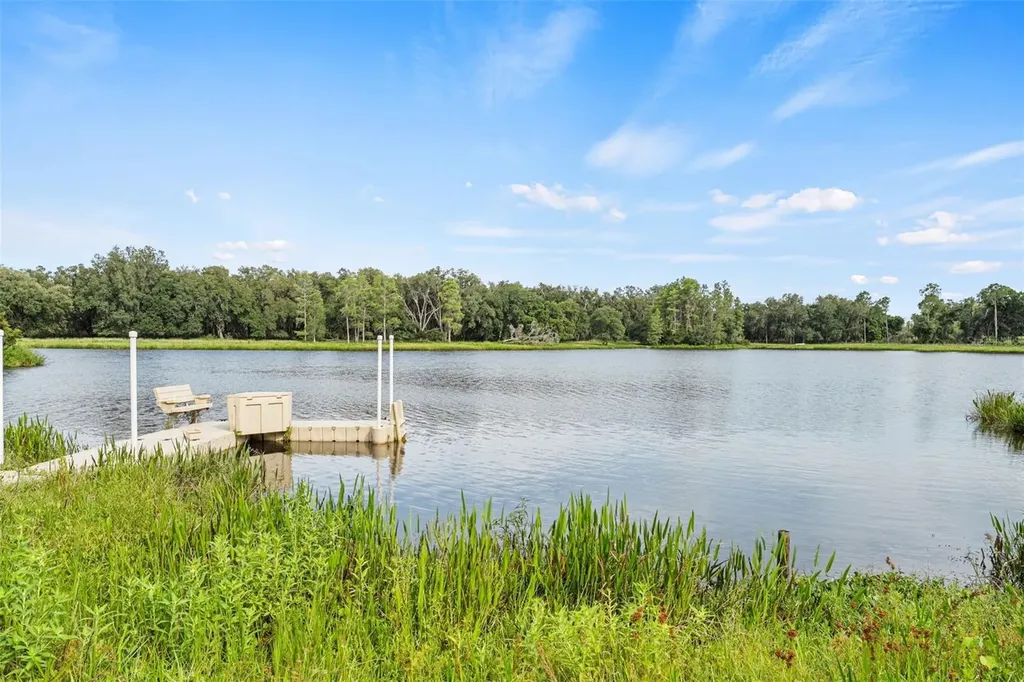 33415 Kiefer Road Wesley Chapel FL 33545